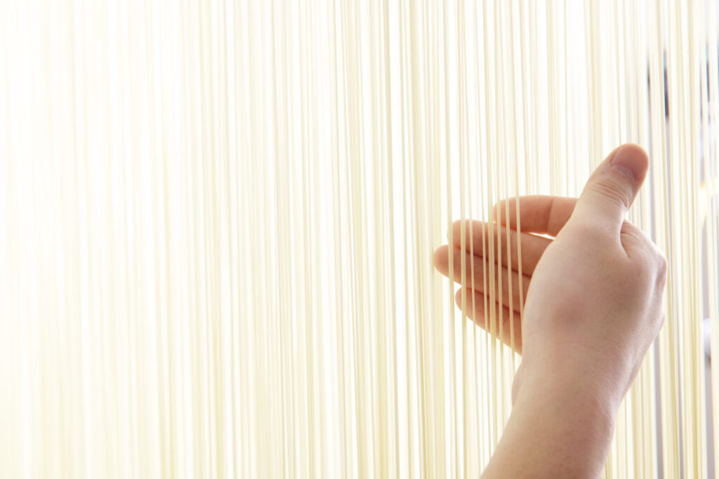 夏季限定》涼か | 《公式》二階堂製麺所 オンラインショップ